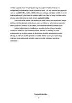 Referāts 'Drošība', 5.