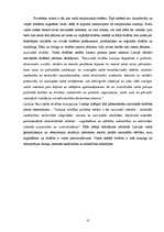 Referāts 'Drošība', 6.