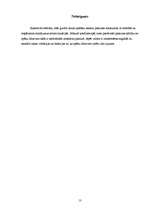 Referāts 'Drošība', 13.