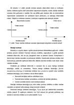 Referāts 'Uzņēmējdarbība', 7.