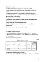 Referāts 'Šokolādes saldējuma ražošanas tehnoloģija un kvalitātes kontrole', 21.