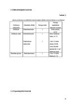 Referāts 'Šokolādes saldējuma ražošanas tehnoloģija un kvalitātes kontrole', 29.