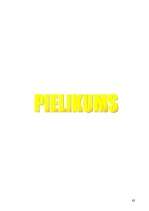 Referāts 'Šokolādes saldējuma ražošanas tehnoloģija un kvalitātes kontrole', 62.