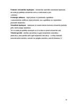 Referāts 'Šokolādes saldējuma ražošanas tehnoloģija un kvalitātes kontrole', 64.