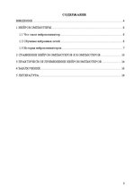 Referāts 'Нейрокомпьютеры', 3.