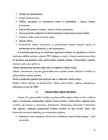 Referāts 'Pamatlīdzekļu uzskaite un ZS "Kotiņi" finanšu analīze', 15.