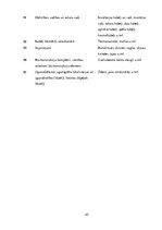 Eseja 'Apgrieztā pievienotā vērtības nodokļa piemērošana  un uzskaite būvizstrādājumu p', 45.