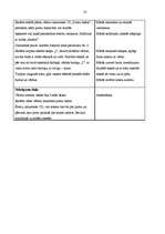 Prakses atskaite 'Aktīvā mācību un audzināšanas prakse sākumskolā', 10.