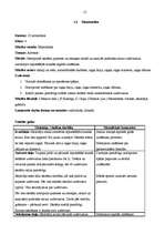 Prakses atskaite 'Aktīvā mācību un audzināšanas prakse sākumskolā', 12.