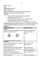 Prakses atskaite 'Aktīvā mācību un audzināšanas prakse sākumskolā', 30.