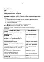 Prakses atskaite 'Aktīvā mācību un audzināšanas prakse sākumskolā', 35.