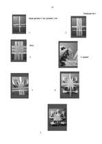 Prakses atskaite 'Aktīvā mācību un audzināšanas prakse sākumskolā', 37.
