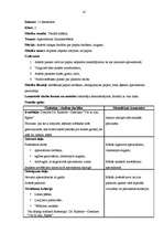 Prakses atskaite 'Aktīvā mācību un audzināšanas prakse sākumskolā', 41.