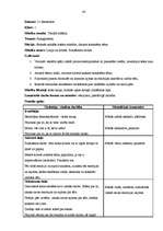 Prakses atskaite 'Aktīvā mācību un audzināšanas prakse sākumskolā', 43.