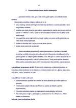 Prakses atskaite 'Aktīvā mācību un audzināšanas prakse sākumskolā', 47.