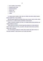 Prakses atskaite 'Aktīvā mācību un audzināšanas prakse sākumskolā', 48.