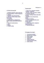 Prakses atskaite 'Aktīvā mācību un audzināšanas prakse sākumskolā', 51.