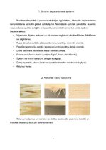 Prezentācija 'Noslēdzošā apstrāde', 4.