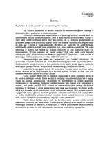 Eseja 'Popkultūra kā sociāla parādība no etnometodoloģiskā viedokļa', 1.