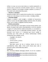 Referāts 'Biznesa ētikas pārkāpumi un konflikti Latvijas reklāmas tirgū', 7.