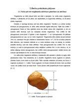 Referāts 'Parka jeb īsto vīngliemežu izplatība Talsos un Talsu apkārtnē, to izmantošana', 11.