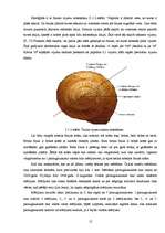 Referāts 'Parka jeb īsto vīngliemežu izplatība Talsos un Talsu apkārtnē, to izmantošana', 12.