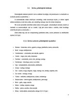 Referāts 'Krāsu asociatīvā uztvere vizuālajā reklāmā', 8.