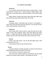 Referāts 'Krāsu asociatīvā uztvere vizuālajā reklāmā', 9.