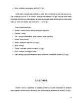 Referāts 'Krāsu asociatīvā uztvere vizuālajā reklāmā', 13.