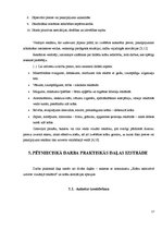 Referāts 'Krāsu asociatīvā uztvere vizuālajā reklāmā', 17.