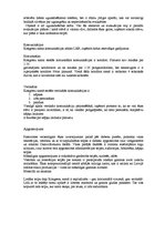 Konspekts 'Rīgas Kongresu nams', 5.