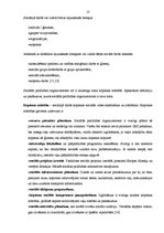 Diplomdarbs 'Sociālās palīdzības organizatora darbības specifika lauku kopienā', 13.