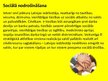 Prezentācija 'Latvijas ilgstpējīga attīstība', 5.
