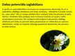 Prezentācija 'Latvijas ilgstpējīga attīstība', 10.
