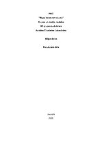 Konspekts 'Rūdolfs Blaumanis "Pazudušais dēls"', 1.