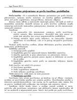 Referāts 'Lēmumu pieņemšana ar preču kustības problēmām', 1.