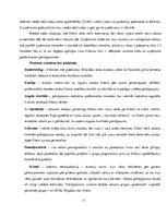 Referāts 'Trīs Latvijas uzņēmumu sociālo pārskatu analīze', 11.