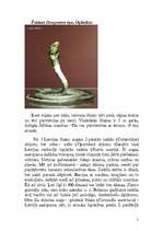 Konspekts 'Rāpuļi', 5.