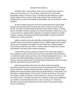 Eseja 'Autoritārā režīma izvērtējums', 1.