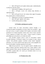 Biznesa plāns 'Uzņēmējdarbības vadība', 16.