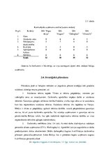 Biznesa plāns 'Uzņēmējdarbības vadība', 22.