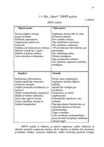 Diplomdarbs 'Ražošanas procesa pilnveidošanas projekts SIA "Saka 6"', 31.