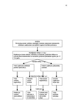 Diplomdarbs 'Ražošanas procesa pilnveidošanas projekts SIA "Saka 6"', 42.