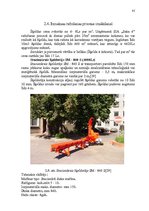 Diplomdarbs 'Ražošanas procesa pilnveidošanas projekts SIA "Saka 6"', 85.