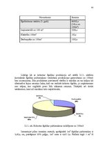 Diplomdarbs 'Ražošanas procesa pilnveidošanas projekts SIA "Saka 6"', 88.