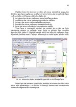 Diplomdarbs 'Ražošanas procesa pilnveidošanas projekts SIA "Saka 6"', 95.