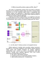 Diplomdarbs 'Ražošanas procesa pilnveidošanas projekts SIA "Saka 6"', 102.