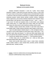 Konspekts 'Epilepsijas norises īpatnības bērniem', 2.