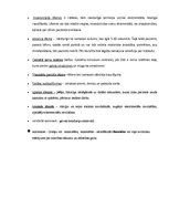 Konspekts 'Epilepsijas norises īpatnības bērniem', 4.