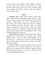 Referāts 'Kredīts, tā veidi', 27.